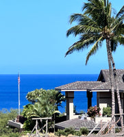 Greyline Flagpole Antenna near a palm tree with the big blue ocean as a back drop, breathtaking to see and Real DX certainly to hear on the ham radio here.