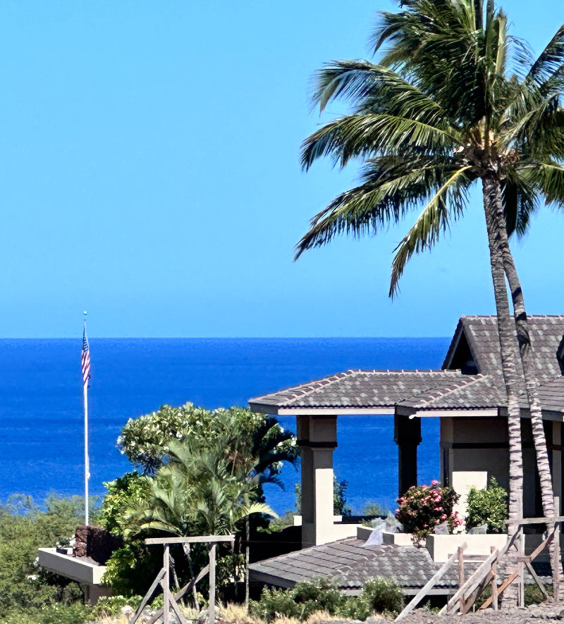 Greyline Flagpole Antenna near a palm tree with the big blue ocean as a back drop, breathtaking to see and Real DX certainly to hear on the ham radio here.