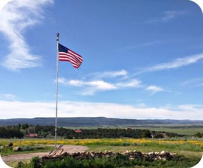 20' DX Flagpole Antenna — 160-6M, No Radials